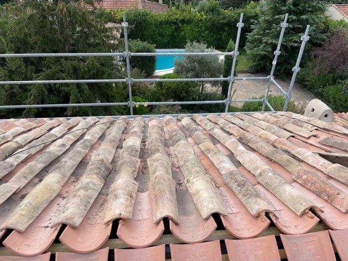 Tuiles anciennes recouvertes de mousse et de lichen, avant démoussage